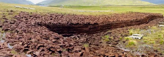 Different types of high peat