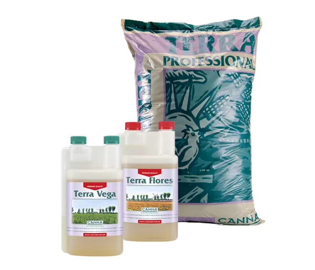 CANNA TERRA