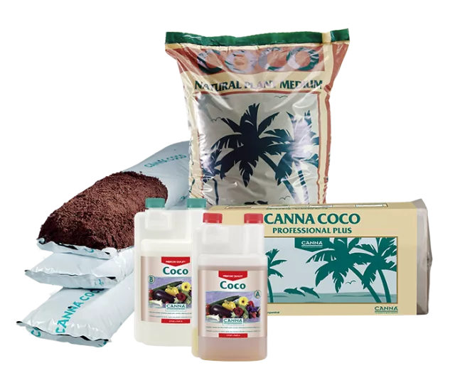 CANNA COCO