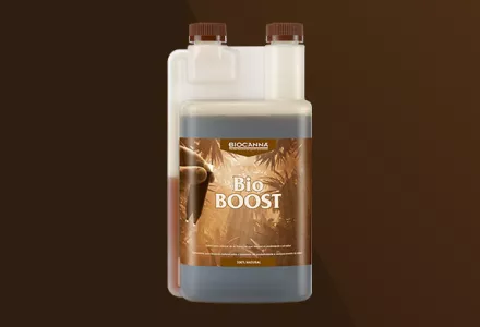 BioBOOST