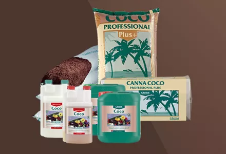 CANNA COCO