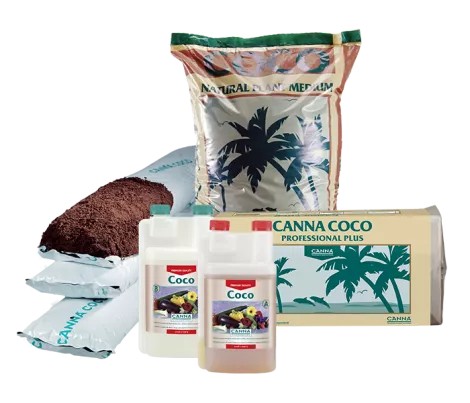 CANNA COCO